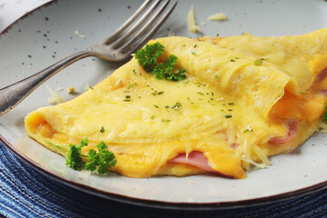 Omelette with ham and cheese on the plate