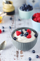 A bowl with Greek yogurt with berries	