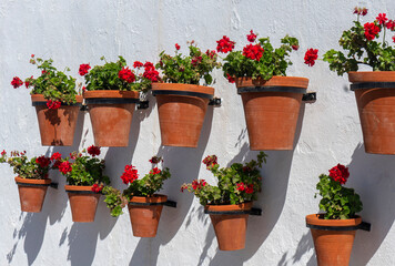 Fototapeta na wymiar FLOWERPOTS ON A WHITE WALL IN A VILLAGE IN ANDALUSIA