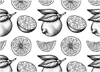 Sketch hand drawn pattern of black lemon with leaves isolated on white background. Engraved drawing citrus fruit wallpaper. Organic vegan food packaging. Summer textile, botanical vector illustration. - 502582432