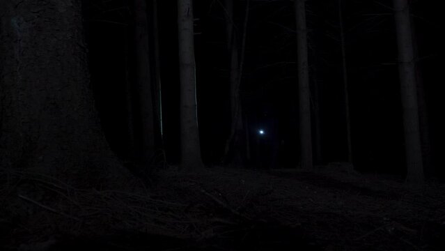 Low wide shot of two masked men wearing black with flashlights searching dark woods, static