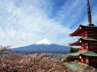 Mount Fuji with pagoda and cherry blossom trees