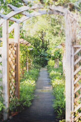 Fototapeta premium path in the garden
