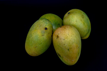 Mangoes isolated in white background, shot using studio lighting and water drops on the subject, Composition on a wooden log with extendable white background and ample copy space, Alphonso  Badami.