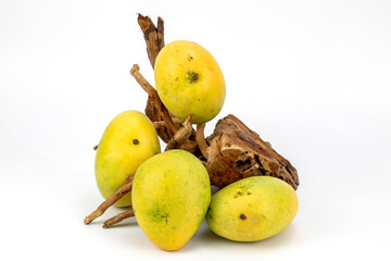 Mangoes Badami / Alphonso isolated in white background, shot using studio lighting and water drops on the subject, Composition on a wooden log with extendable white background and ample copy space.