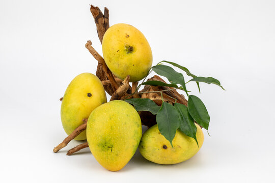 Mangoes Badami / Alphonso isolated in white background, shot using studio lighting and water drops on the subject, Composition on a wooden log with extendable white background and ample copy space.