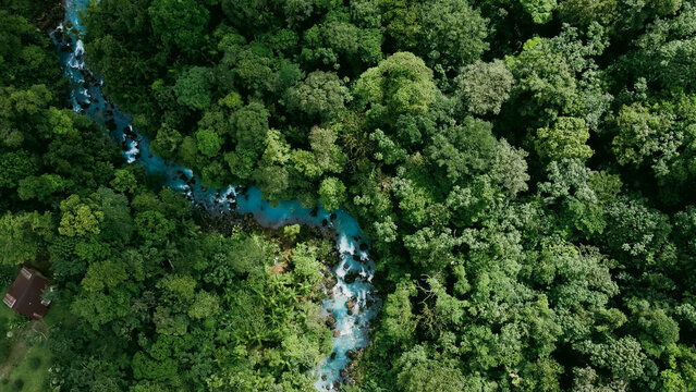 Aerial view of the forest with a blue river in Costa Rica (Rio Celeste, La Fortuna)