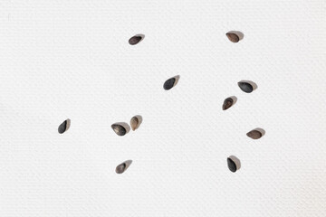 Black sesame seeds isolated on white background top view, minimalistic