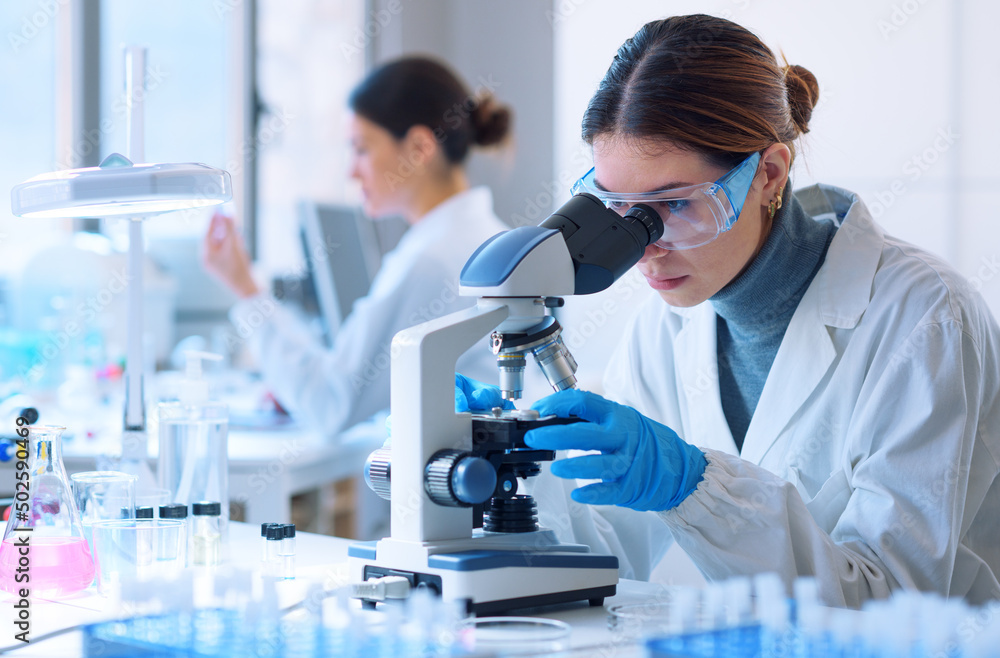 Wall mural Researchers working in the clinical laboratory