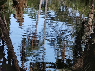 Plant
forest
lake
park
fountain
Water
sheets
path
sky
a cloud
stone
source
trunk
tree
flowers
statue
fish
life
Paradise
rest
life
nature