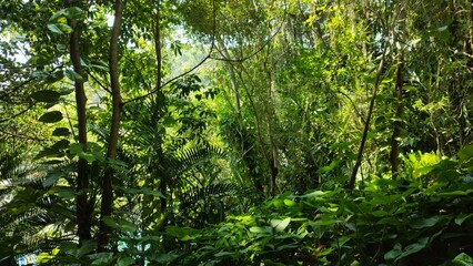 Plant
forest
lake
park
Water
sheets
path
sky
a cloud
stone
source
trunk
tree
flowers
fish
life
Paradise
rest
life
nature