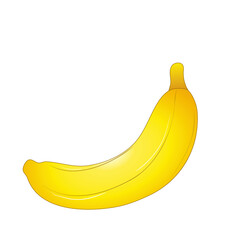 Big set of fruit. vector image