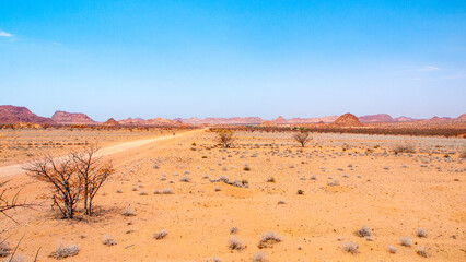Fototapeta na wymiar Orange rocky landscape of Damaraland