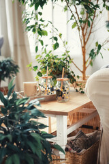 Bottles for summer drinks are on a table in a room with lots of plants.