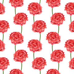 Fototapeta na wymiar Watercolor flowers of red carnation. A simple seamless pattern on a white background.