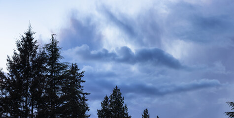 Dramatic Cloudy Sunset Sky Background with green trees. British Columbia, Canada.