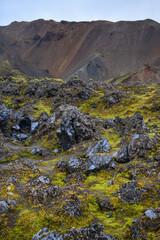 Shiny black obsidian and bright green moss in the Laugahraun lava field, Lanmdannalaugar, Fjallabak Nature Reserve, Iceland