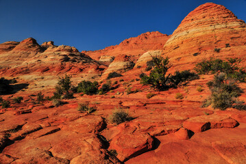 Fototapeta premium The sandstone formations of Coyote Buttes North on the route to The Wave, Vermilion Cliffs National Monument, Arizona - Utah state border, USA