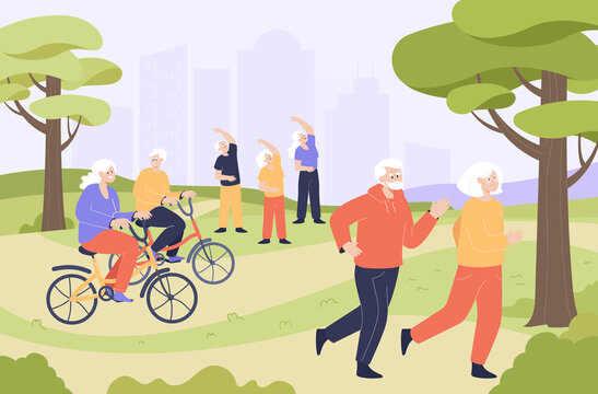 Elderly people doing sport in park flat vector illustration. Pensioners running, jogging, doing exercises or physical activity, riding bikes in nature. Sanatorium healthy lifestyle concept