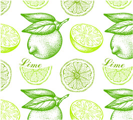 Sketch hand drawn pattern of lime with green leaves isolated on white background. Engraved drawing slice of citrus fruit wallpaper. Organic vegan food packaging. Summer, botanical vector illustration. - 502597017
