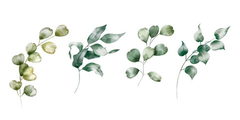 Watercolor floral illustration set &ndash; Eucalyptus: green leaf branches collection, for wedding design, invitation, greetings, wallpapers, fashion, background. 