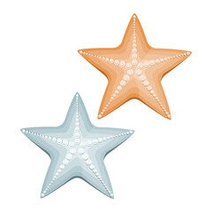 Set of colorful sea stars clipart in flat design