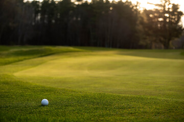 Golf ball on the green grass of a golf course in sunlight.