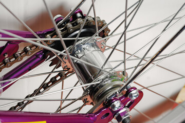Obraz premium Rear bike hub.