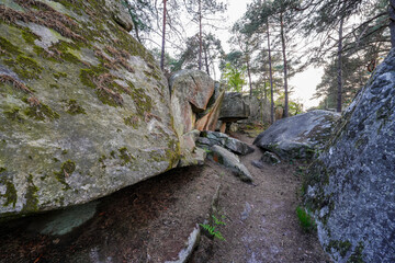 Sandstone boulders in the forest of Fontainebleau near Paris, France
