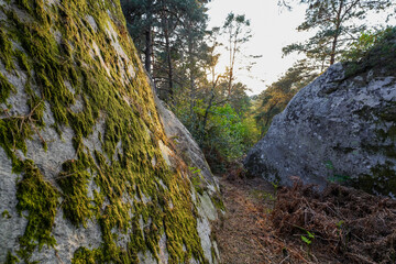 Sandstone boulders in the forest of Fontainebleau near Paris, France