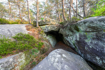 Sandstone boulders in the forest of Fontainebleau near Paris, France