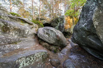 Naklejka na ściany i meble Sandstone boulders in the forest of Fontainebleau near Paris, France