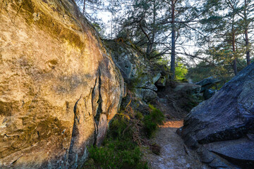 Sandstone boulders in the forest of Fontainebleau near Paris, France