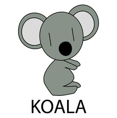 koala isolated