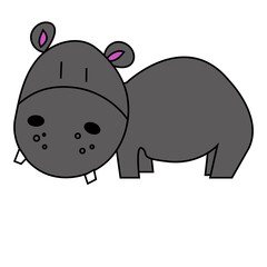 hippopotamus isolated