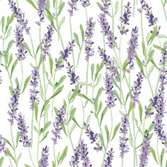 Fototapeta na wymiar Watercolor lavender seamless pattern. Hand painted vintage provence violet flowers with stem isolated on white background. Spring wildflowers illustration for wedding invitation, design logo.