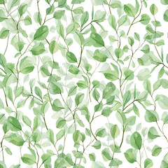 Watercolor eucalyptus seamless patterns, leaves and branches. Hand painted botanical greenery, silver dollar eucalyptus isolated on white background. Stock Illustration for greetinng card.