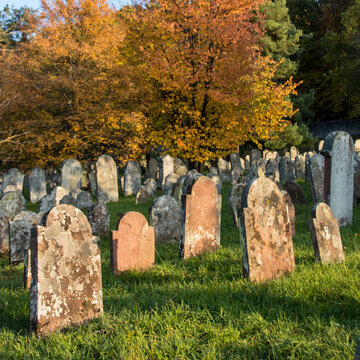 Le cimetière juif de Rosenwiller est une nécropole située sur la route de Grendelbruch à Rosenwiller, dans le département français du Bas-Rhin.
