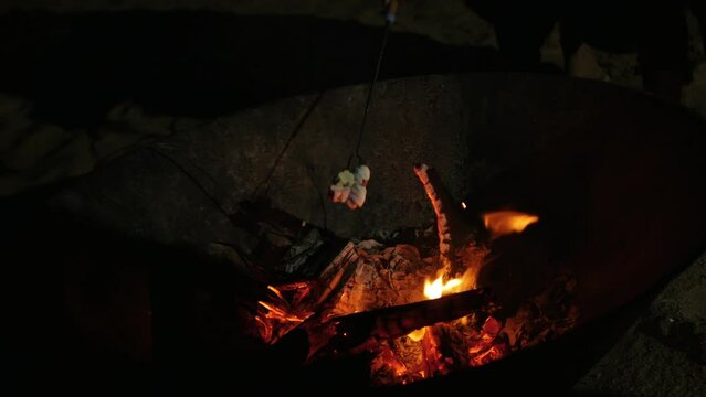 roating mashmallow candy on the firewood heat while camping.