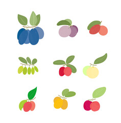 fruit isolated vector illustration set
