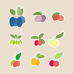 fruit sticker isolated vector illustration set