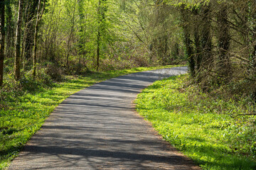 footpath in the park