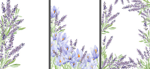 Watercolor lavender and crocus frame banner illustration. Hand painted vintage violet flowers stem isolated on white background. Spring wildflowers illustration for wedding invitation, design logo