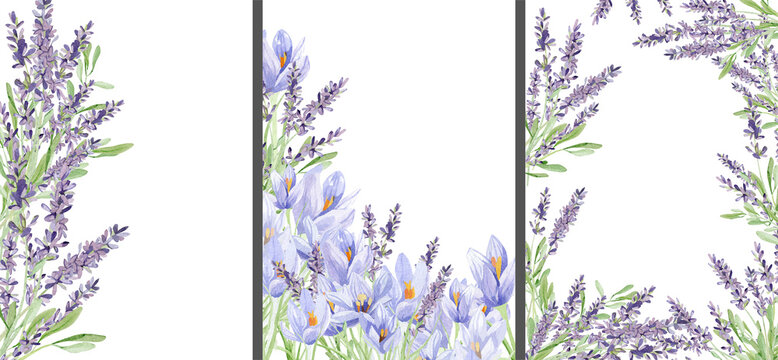 Watercolor lavender and crocus frame banner illustration. Hand painted vintage violet flowers stem isolated on white background. Spring wildflowers illustration for wedding invitation, design logo