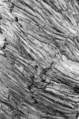 old tropical wood surface texture vintage