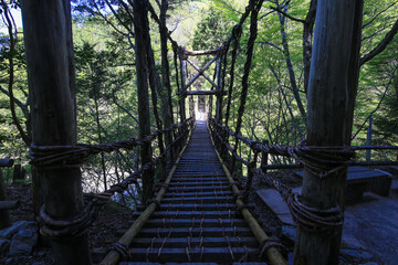 Obraz premium 徳島県三好市 奥祖谷二重かずら橋 男橋