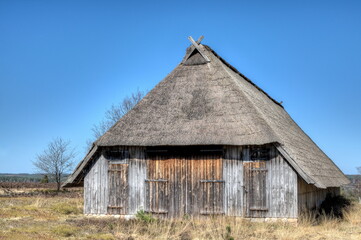 Fototapeta premium Typical thatched sheepfold in the nature reserve Lueneburg Heath which offers space for 350 sheep. Each flock of sheep has two of these stables, one near the village and one outside in the heath..