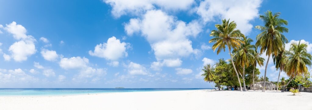 Tropical beach panorama with palm trees and white sand