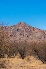 Obraz premium mountains in the wilderness of arizona