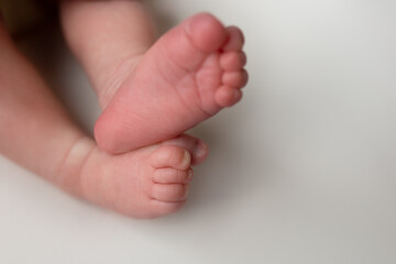 small feet of a newborn baby on a white background